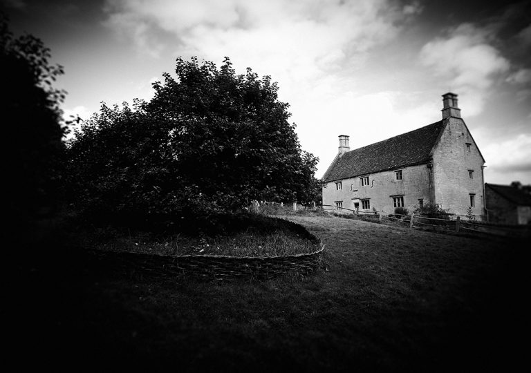 The apple tree at Woolsthorpe Manor where Isaac Newton was inspired to formulate his law of universal gravitation